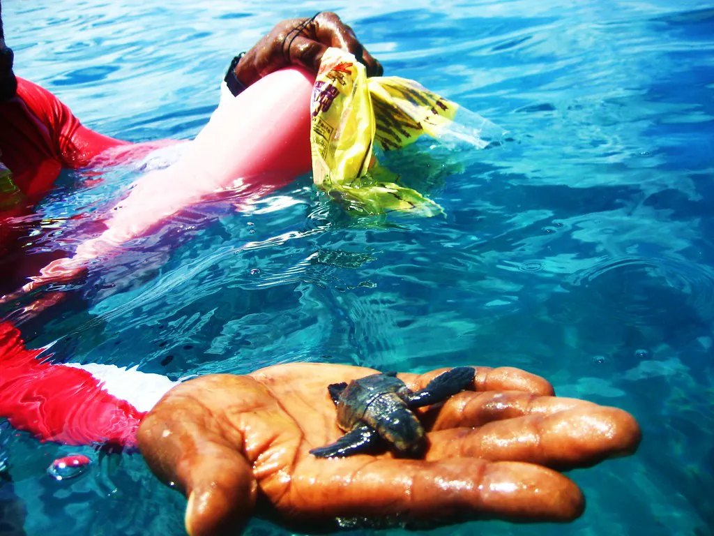 Barbados 2009