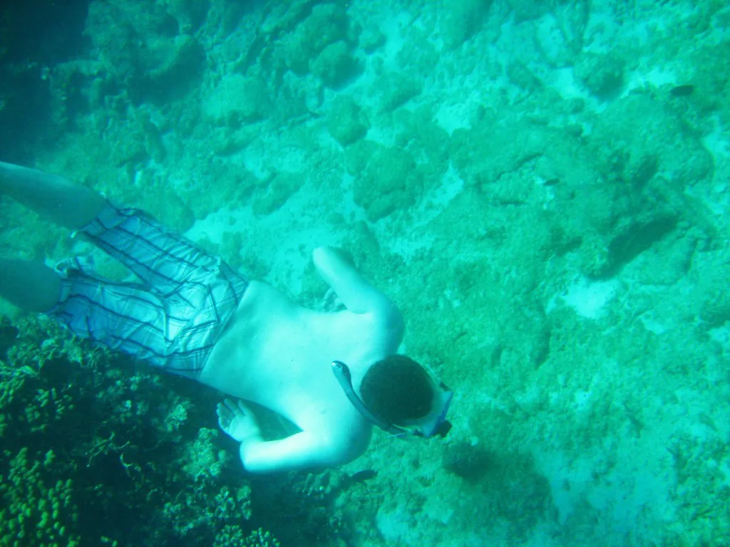 Barbados 2009
