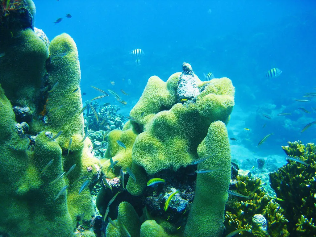 Barbados 2009