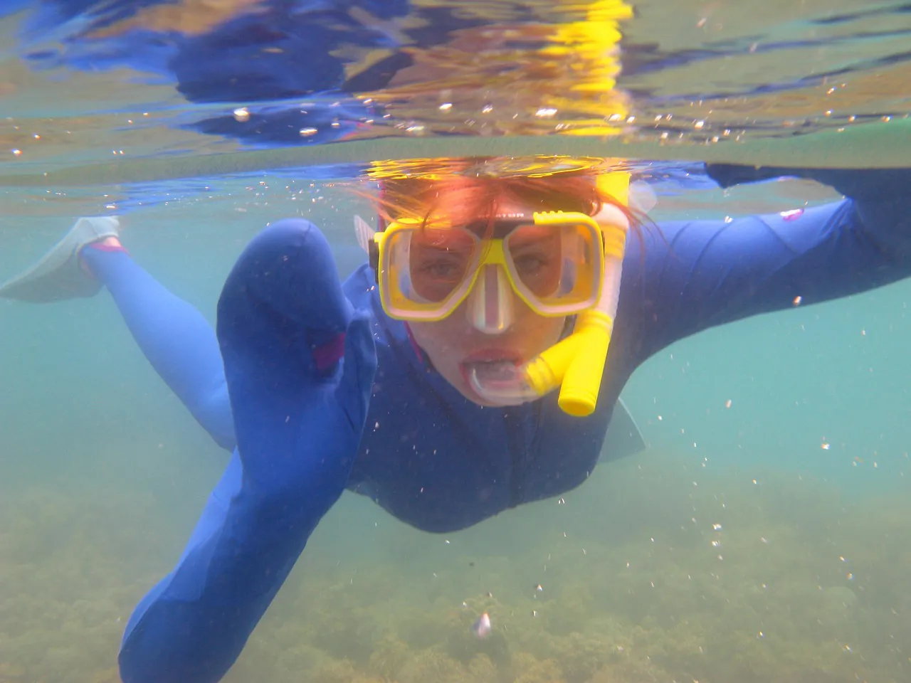 diver, ocean, underwater, swimming, snorkelling, water, summer, nature, sea, snorkeling, snorkel, mask, outdoor, diving, leisure, activity, active, sport, exercise